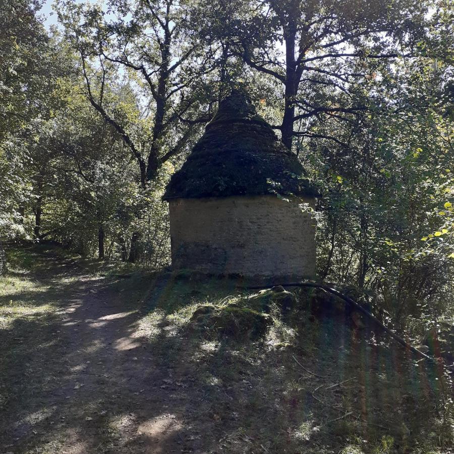 Le Manoir De Carlucet Gite Saint-Crepin-et-Carlucet Bagian luar foto