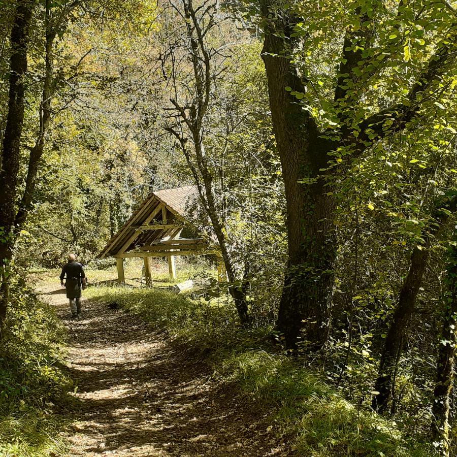 Le Manoir De Carlucet Gite Saint-Crepin-et-Carlucet Bagian luar foto